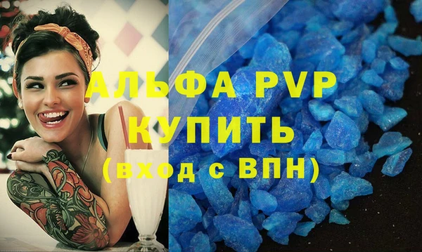 гашик Касимов