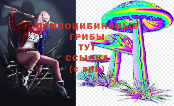 трава Карпинск