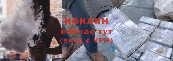 гашик Касимов