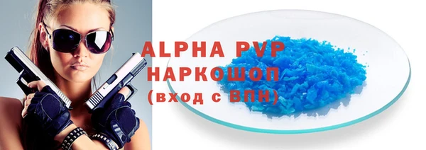 трава Карпинск