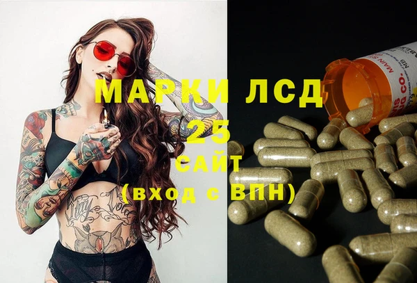 трава Карпинск