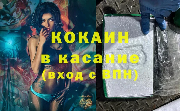 гашик Касимов