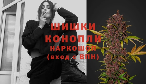 гашик Касимов