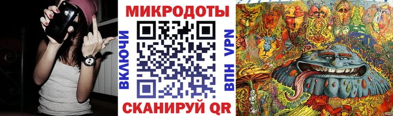 Купить где Мирный Псилоцибиновые грибы MAGIC MUSHROOMS